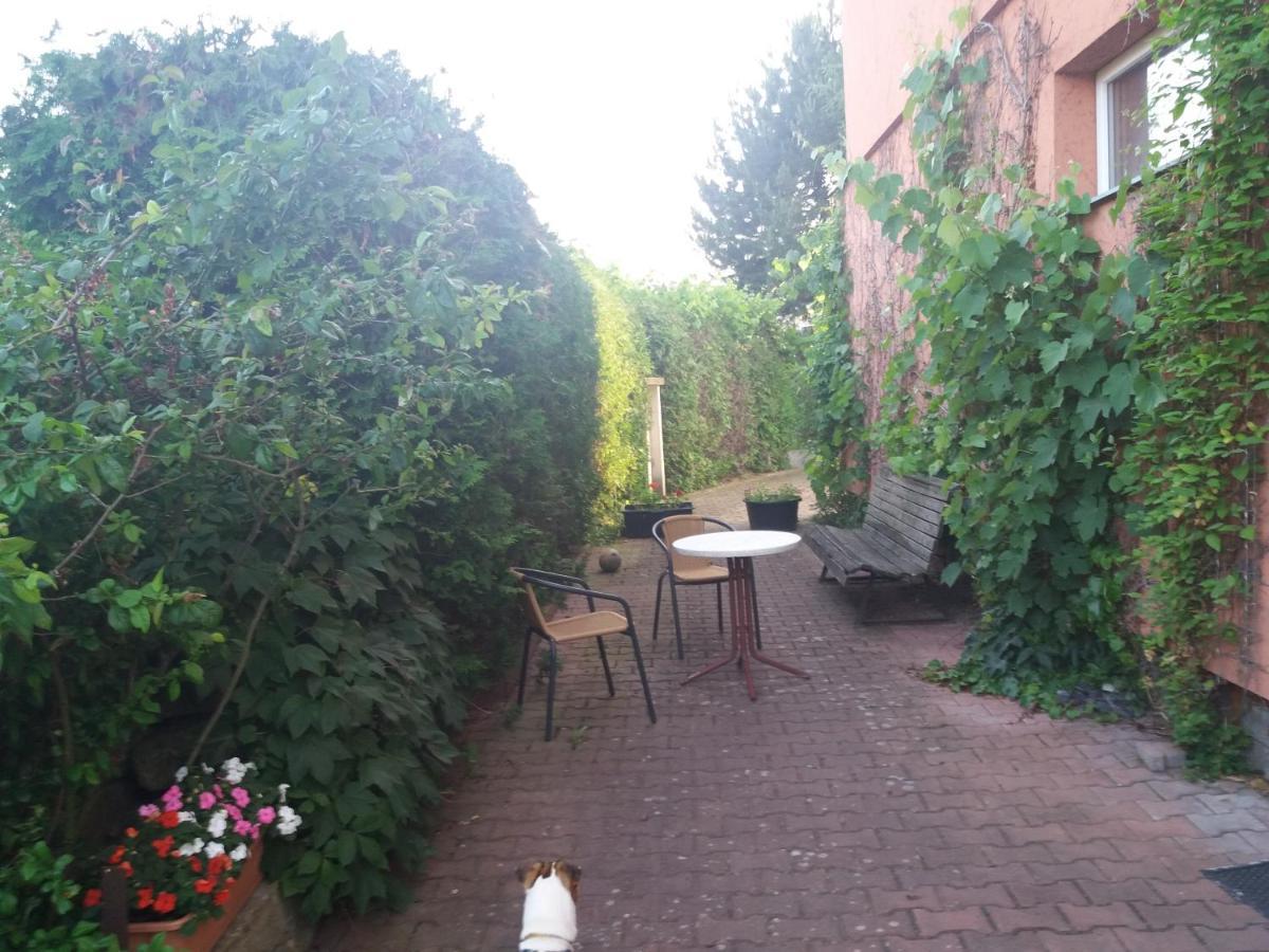 Apartman Na Skale Kostelec nad Orlicí 외부 사진